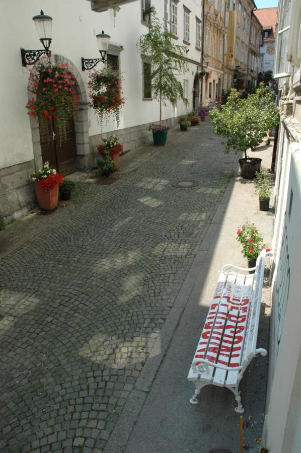 Vitez Apartment I Liubliana Exterior foto